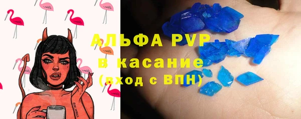 ECSTASY Алзамай
