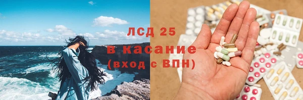 ECSTASY Алзамай