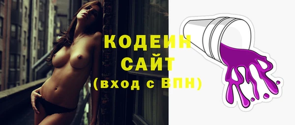 ECSTASY Алзамай