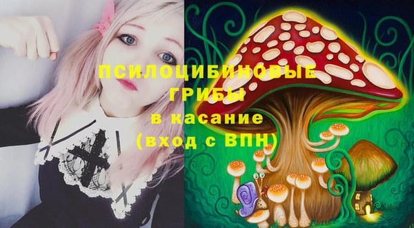 ECSTASY Алзамай
