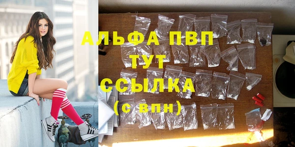 ECSTASY Алзамай