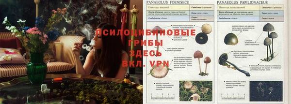 таблы Алексин