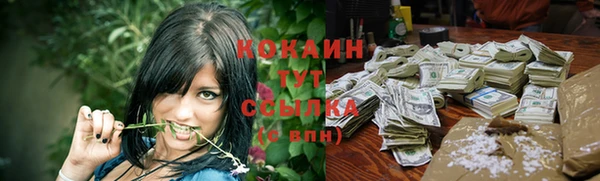 ECSTASY Алзамай