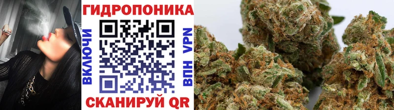 даркнет сайт  Заполярный  OMG ссылка  Бошки Шишки Bruce Banner 